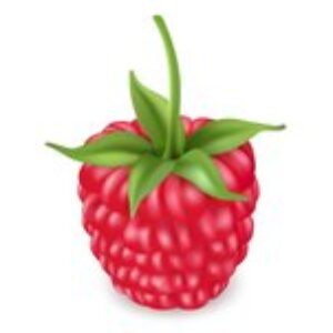 Uroczystość Pasowania na Przedszkolaka